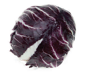 radicchio chioggia