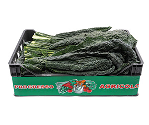 Cassetta cavolo nero