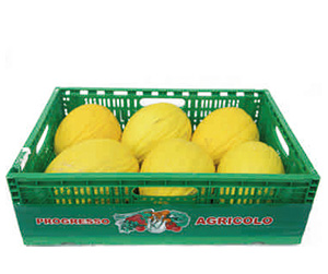 cassetta melone giallo