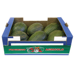 cassetta melone verde